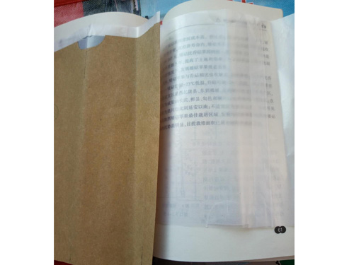 �ڴ���͸������