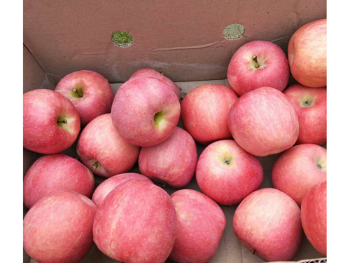 �Է���ڰ׹���