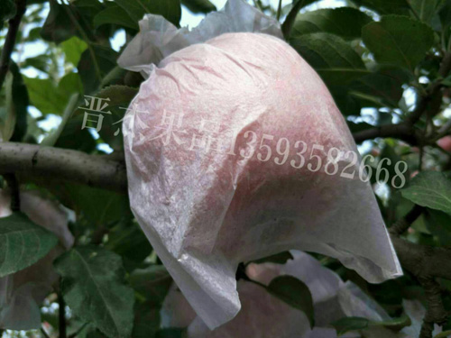 �Է���ڰ׹���