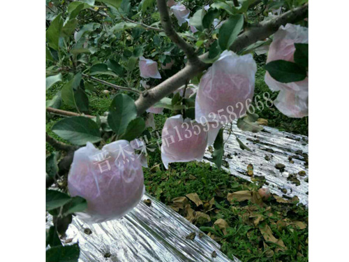 �Է���ڰ׹���