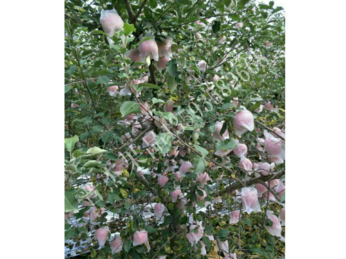 �Է���ڰ׹���