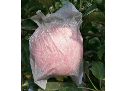 �Է���ڰ׹���