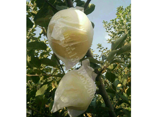 �Է���ڰ׹���